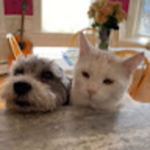 Meet your Posher, Robert